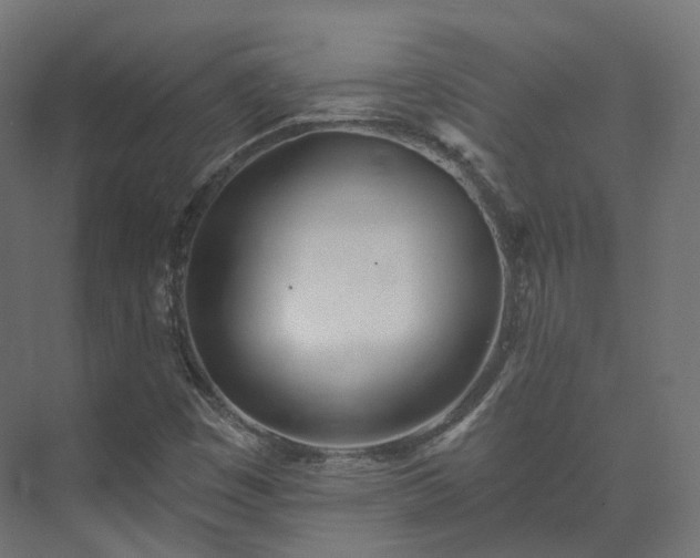 X0000073481449200608071008