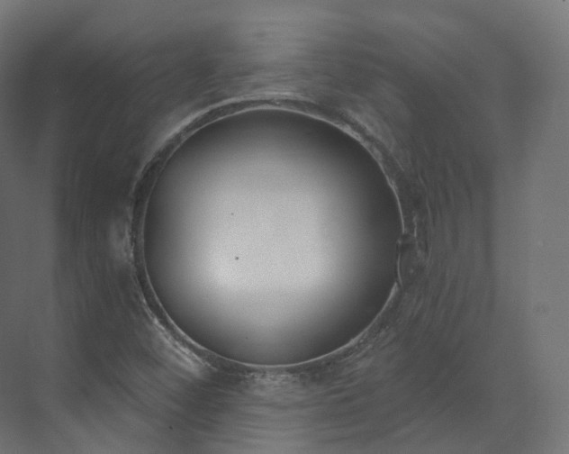 X0000073481452200608071008