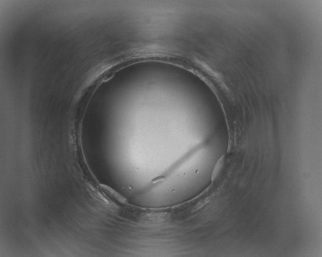 X0000073481453200608071008