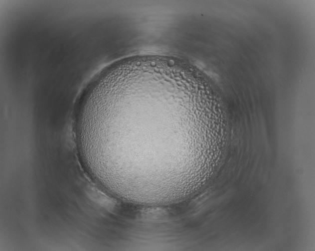 X0000073481454200608071008