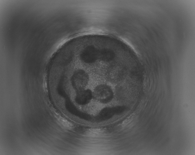 X0000073481455200608071008