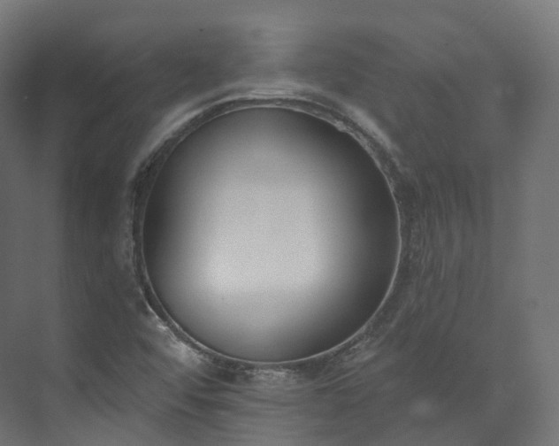 X0000073481456200608071008