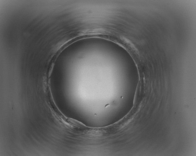 X0000073481457200608071008