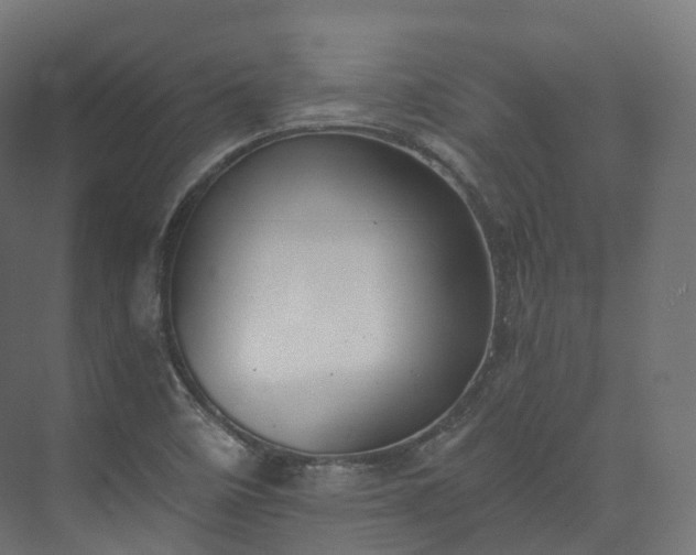 X0000073481458200608071008