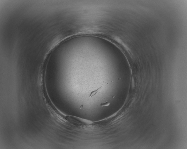 X0000073481459200608071008