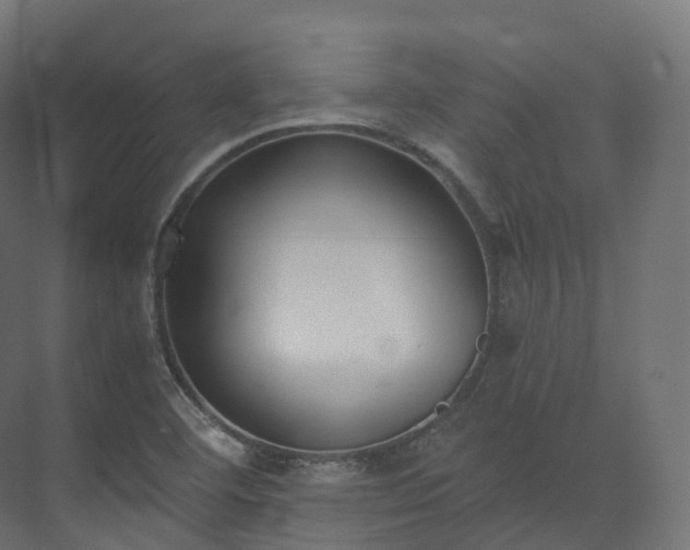 X0000073481460200608071008