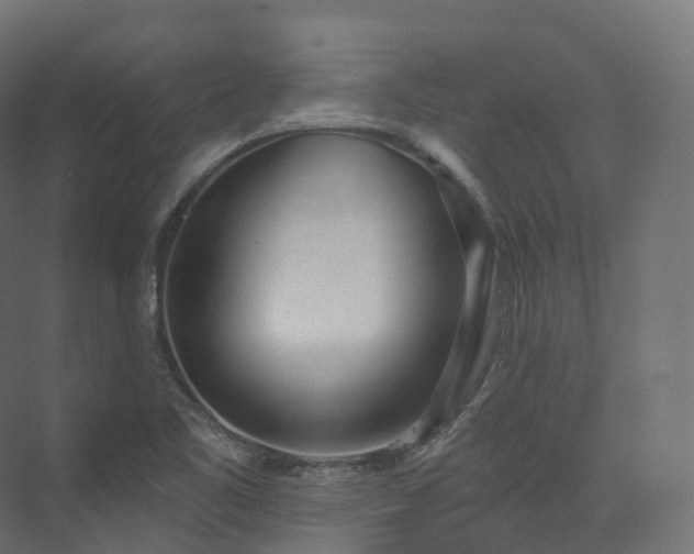 X0000073481461200608071008