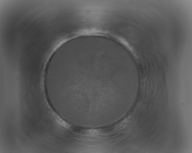 X0000073481463200608071008