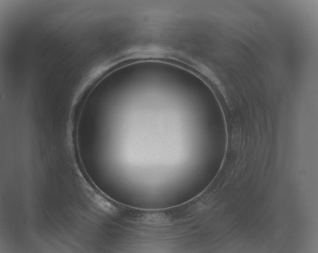 X0000073481464200608071008