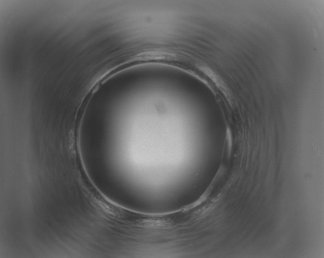 X0000073481465200608071008