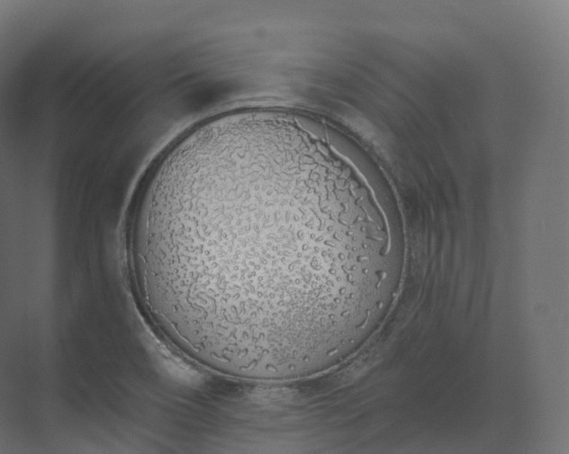 X0000073481466200608071008