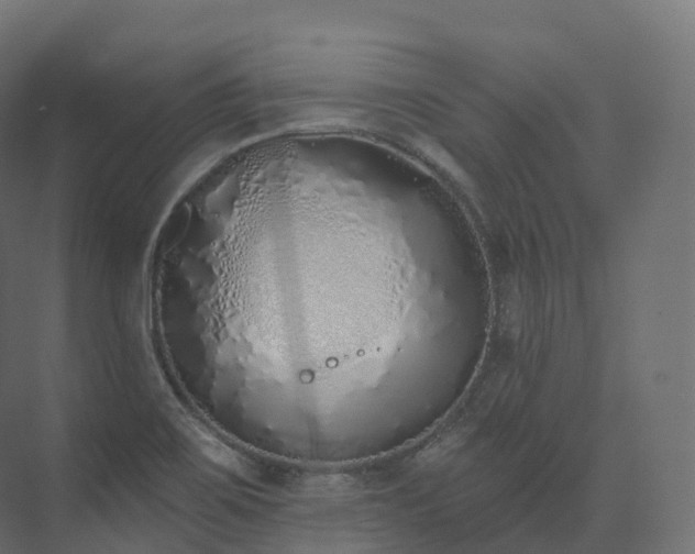 X0000073481467200608071008