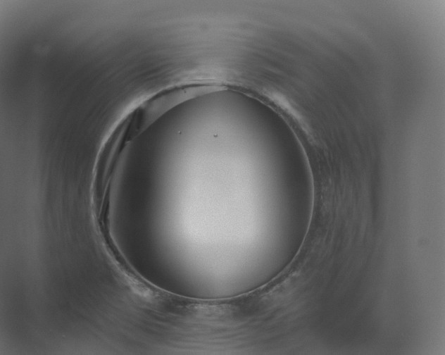 X0000073481469200608071008