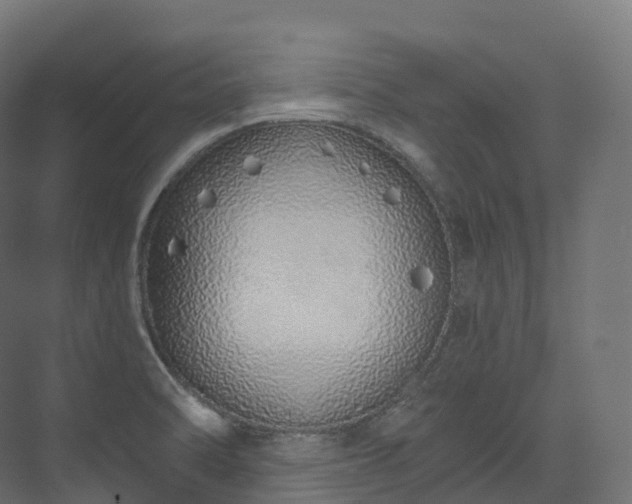 X0000073481470200608071008