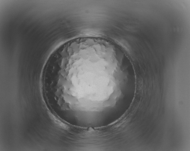 X0000073481471200608071008