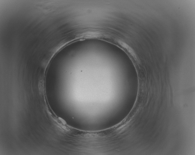 X0000073481473200608071008