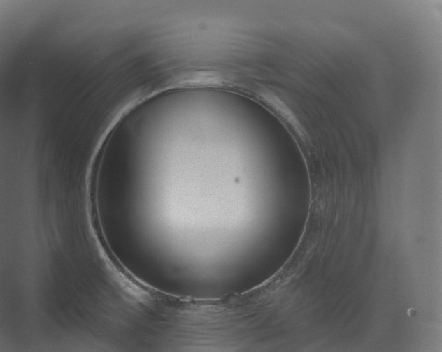 X0000073481475200608071008