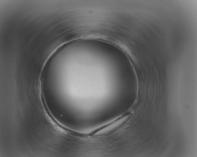 X0000073481476200608071008