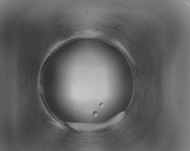 X0000073481477200608071008