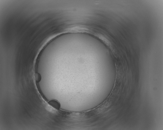 X0000073481478200608071008