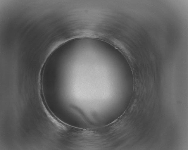 X0000073481479200608071008