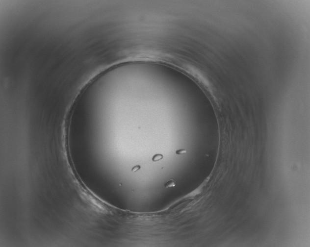 X0000073481480200608071008