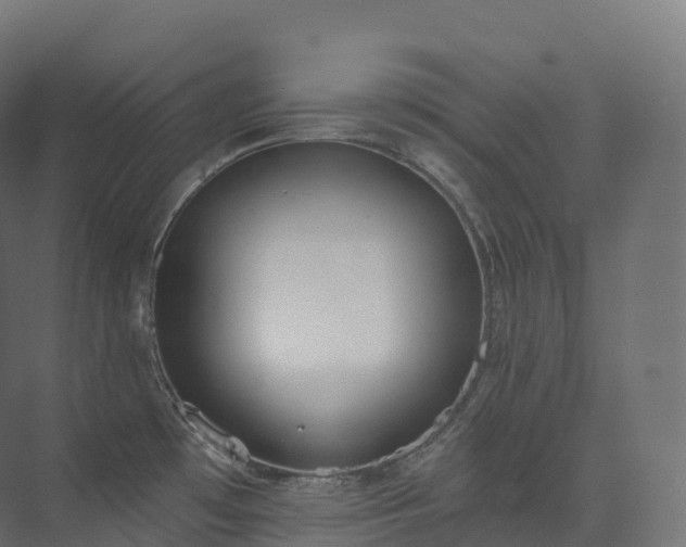 X0000073481481200608071008