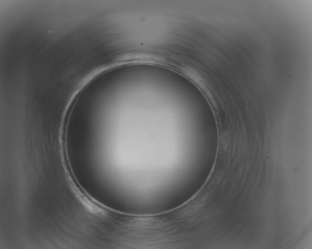 X0000073481482200608071008