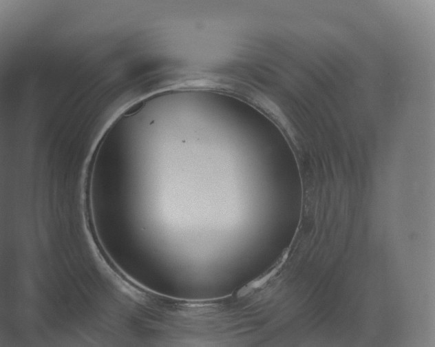 X0000073481483200608071008