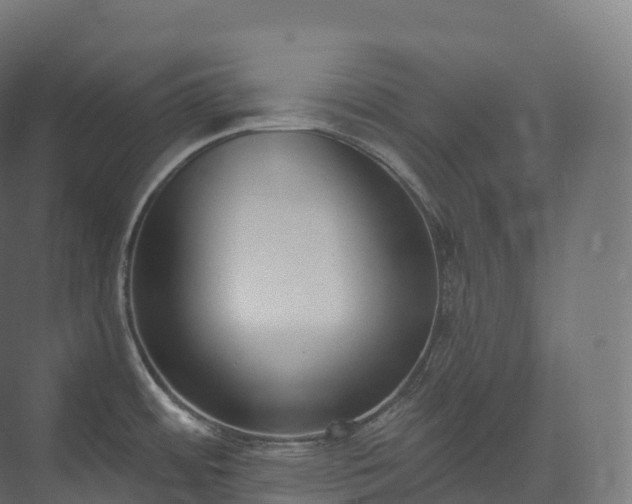 X0000073481484200608071008