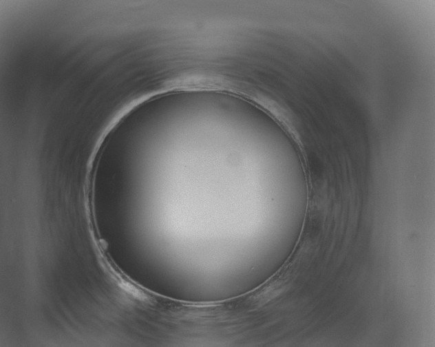 X0000073481486200608071008