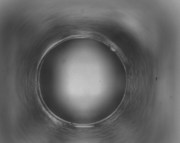 X0000073481487200608071008