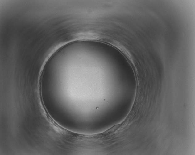 X0000073481488200608071008