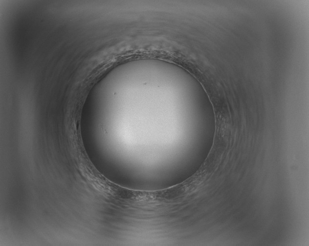 X0000073481489200608071007