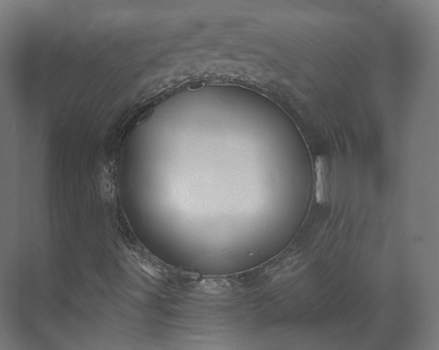 X0000073481491200608071007