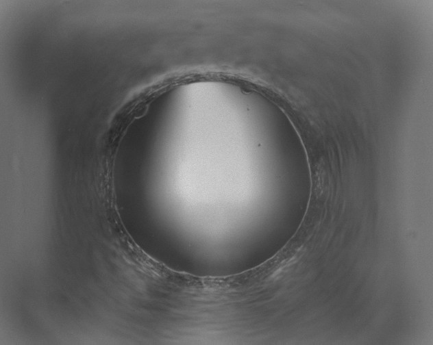 X0000073481494200608071007