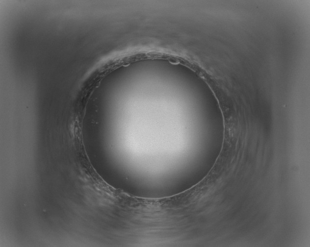 X0000073481495200608071007