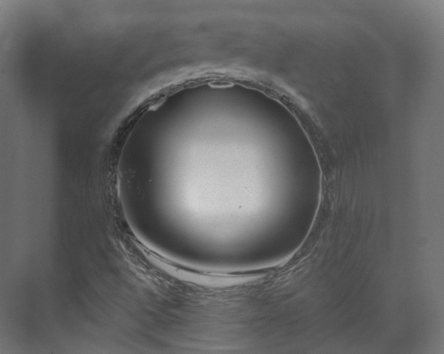 X0000073481496200608071007