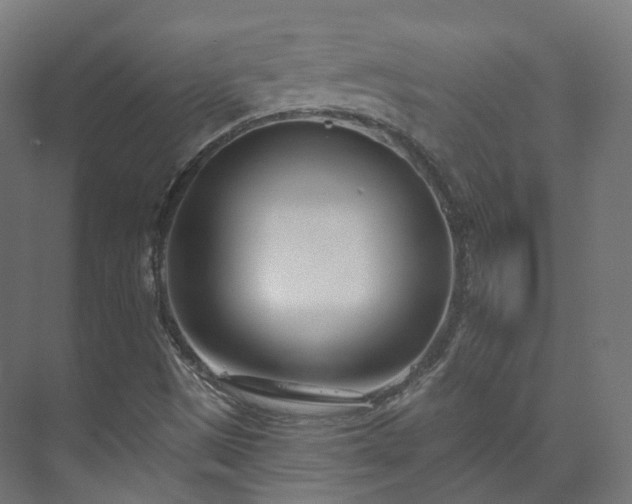 X0000073481497200608071007