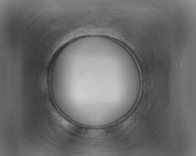 X0000073481498200608071007