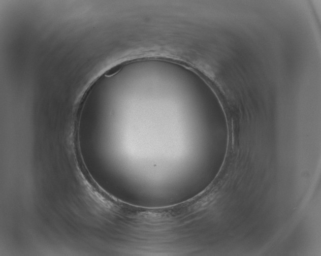 X0000073481500200608071007