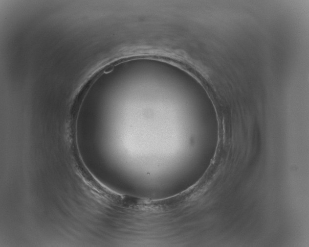 X0000073481501200608071007