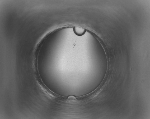 X0000073481502200608071007