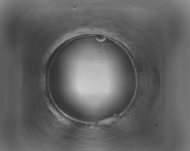 X0000073481503200608071007