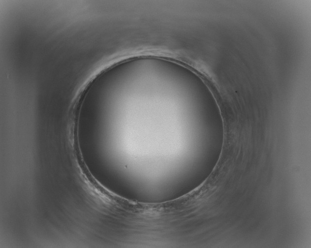 X0000073481504200608071007