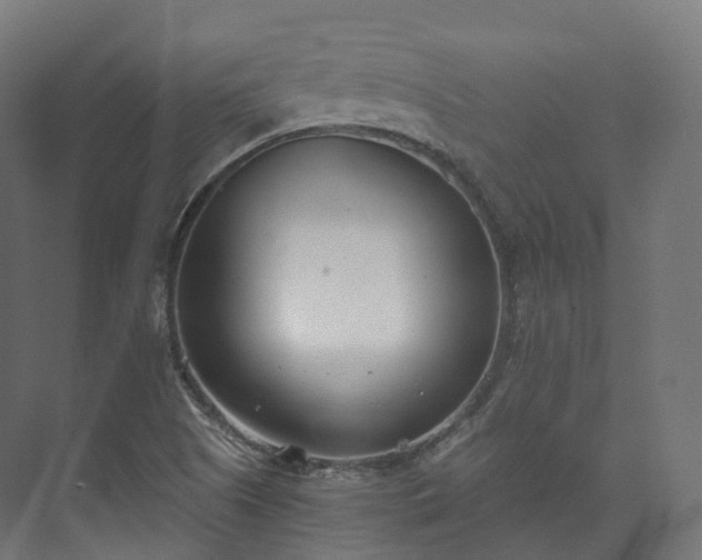 X0000073481505200608071007