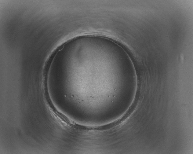 X0000073481506200608071007