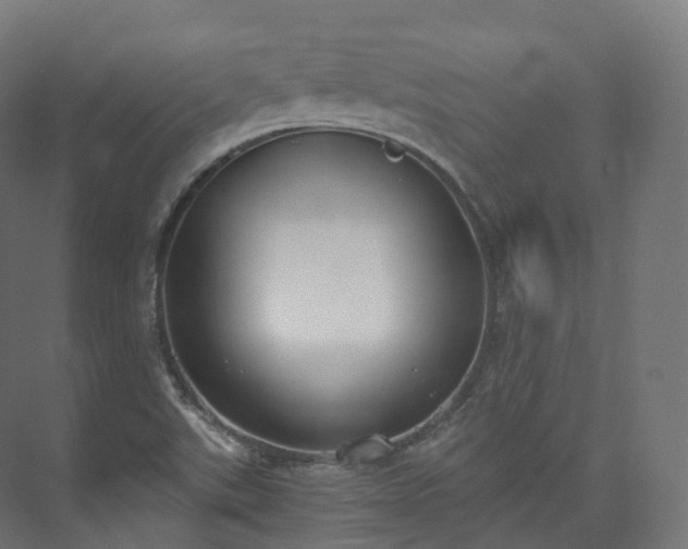 X0000073481507200608071007