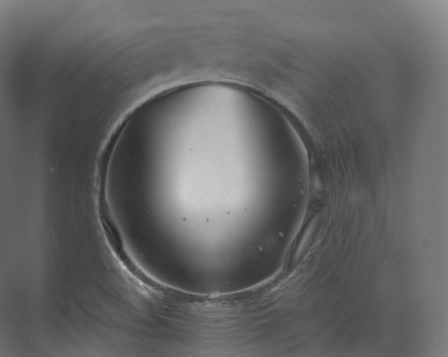 X0000073481508200608071007