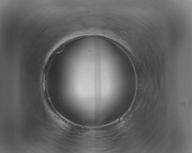 X0000073481510200608071007